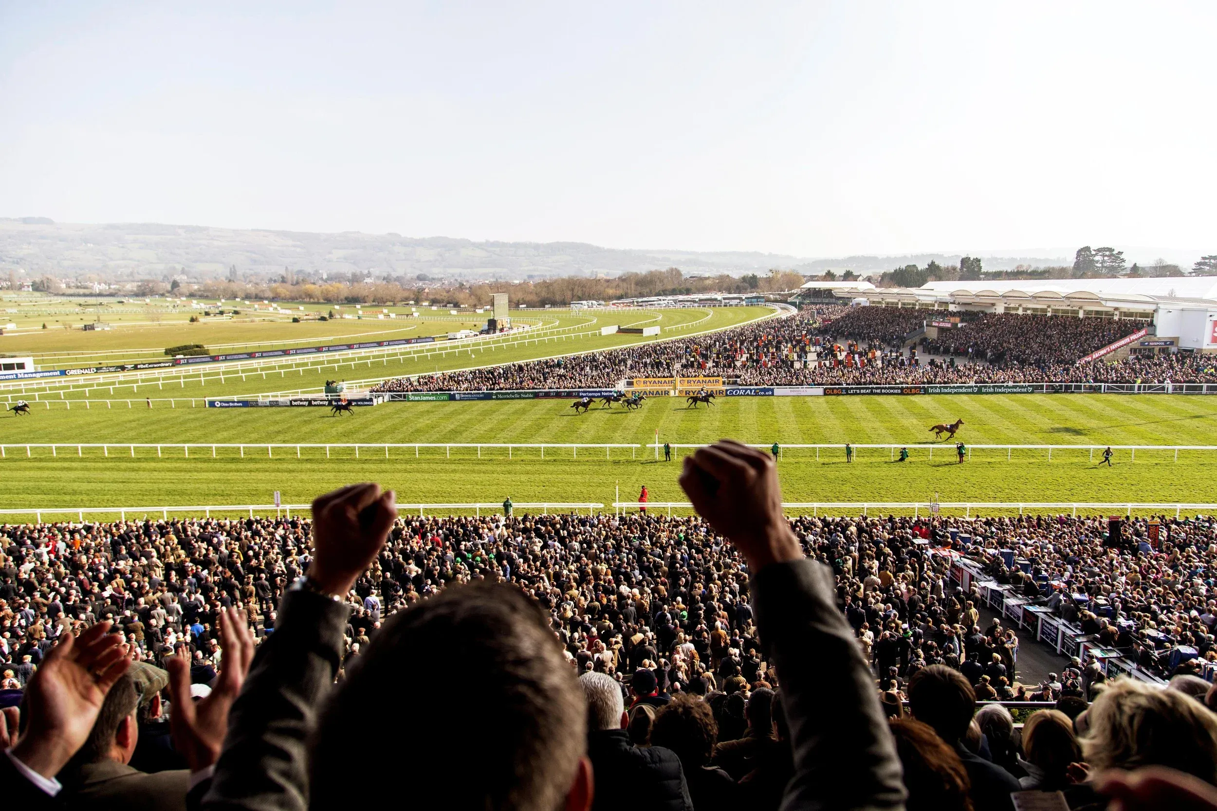 cheltenham racing cheltenham racing
